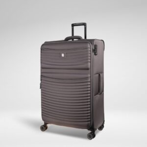 IT Luggage Precursor