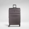 IT Luggage Precursor