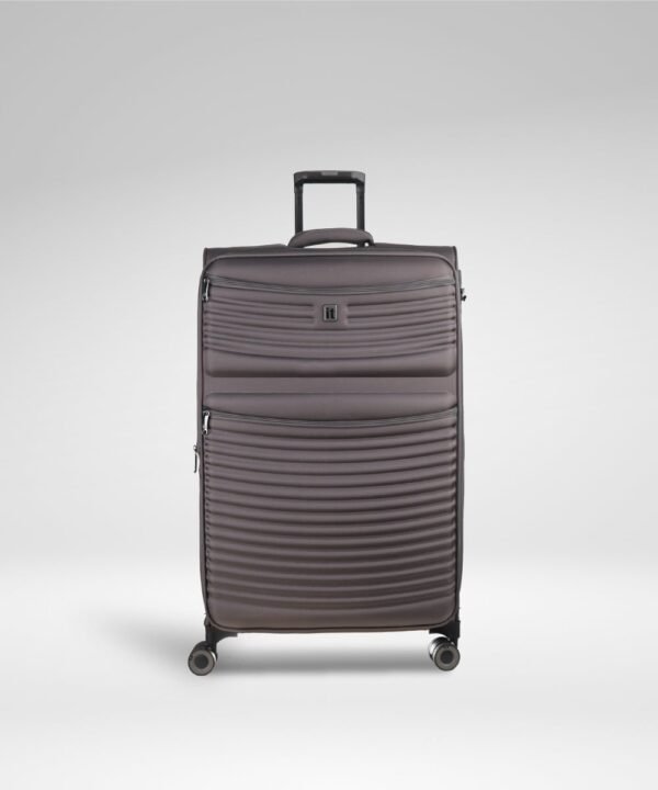 IT Luggage Precursor