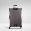 IT Luggage Precursor